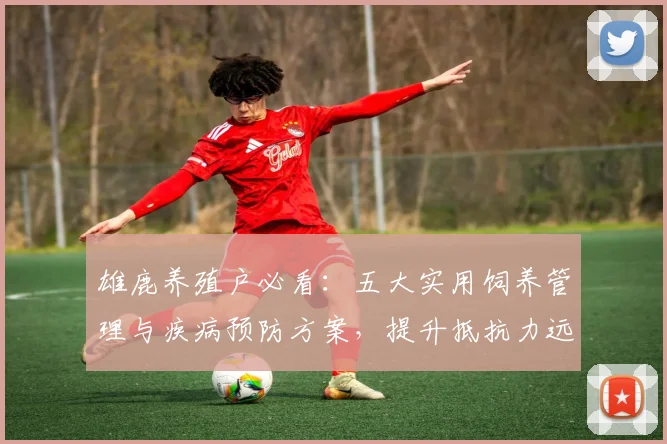 雄鹿养殖户必看：五大实用饲养管理与疾病预防方案，提升抵抗力远离常见病